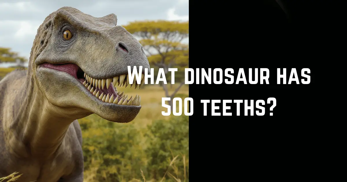 What dinosaur has 500 teeths?